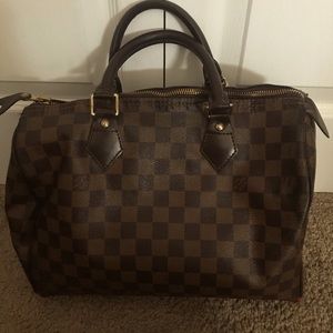 Louis Vuitton carry bag
